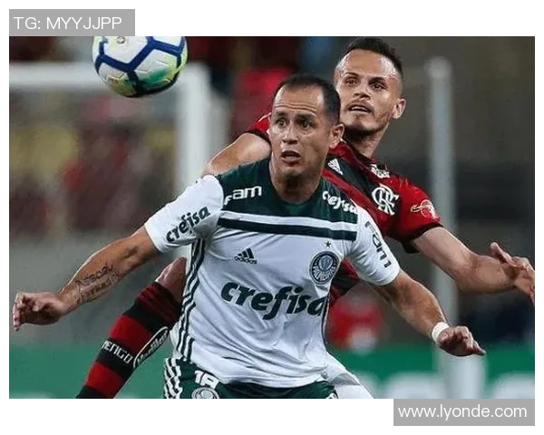 葡国民队与吉马良斯展开激烈对决足球赛场精彩瞬间回顾